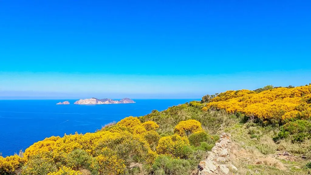 Cosa fare a Ponza – una guida per una vacanza di 7 giorni