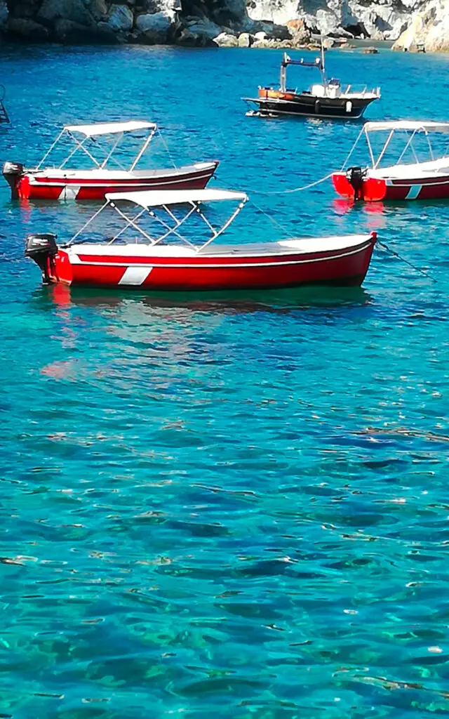AR Dionigio Noleggio Barche