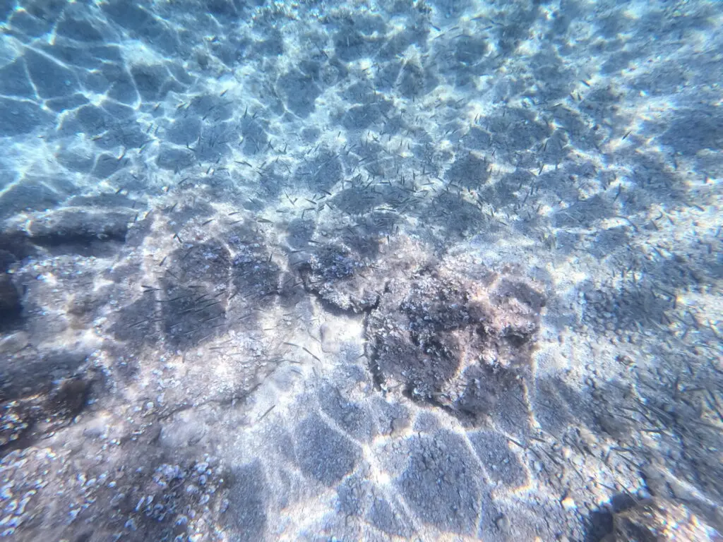 Cala Cavone
