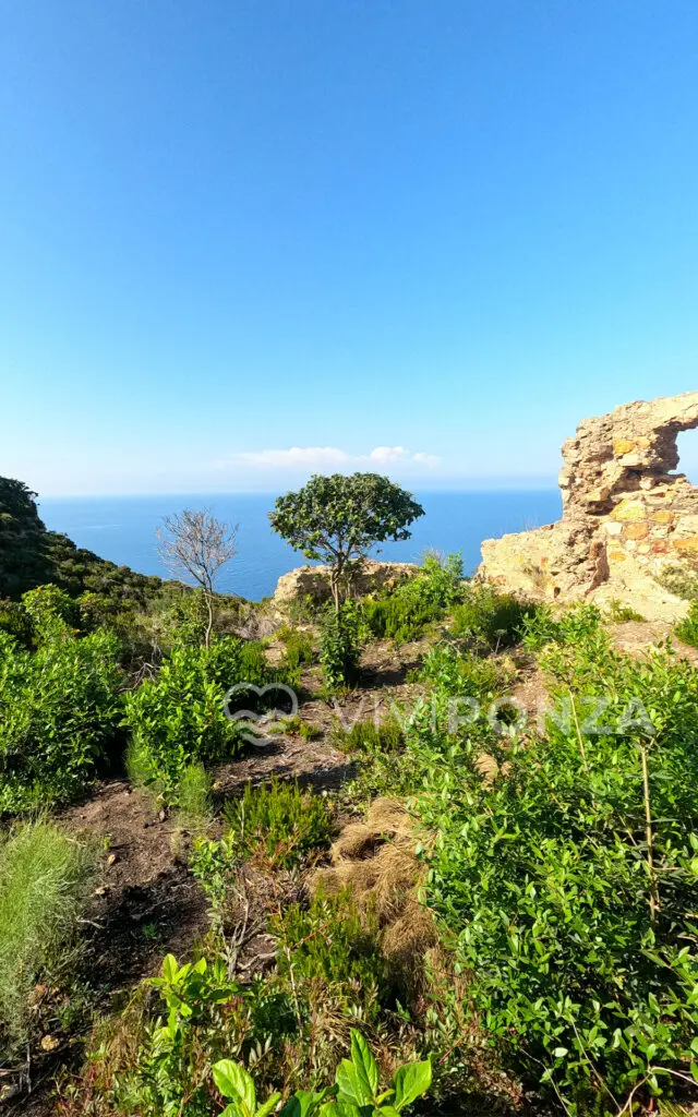 Monastero di Cala Felce