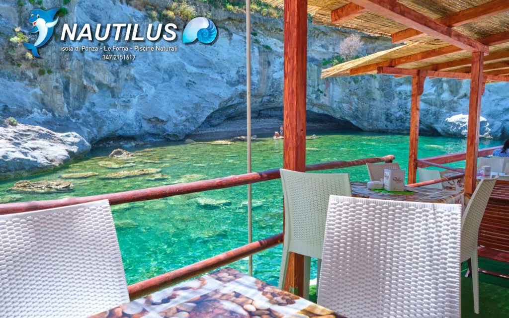 Nautilus