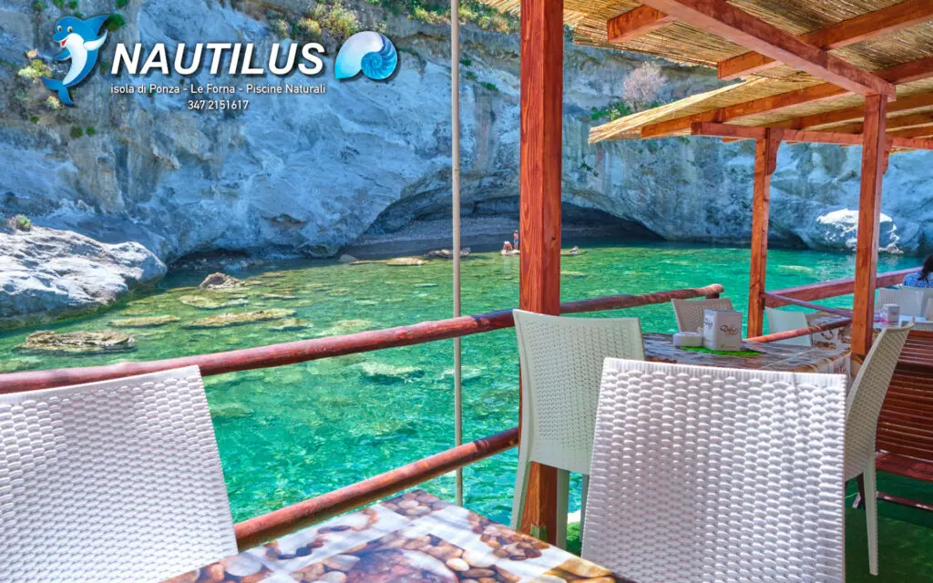Nautilus