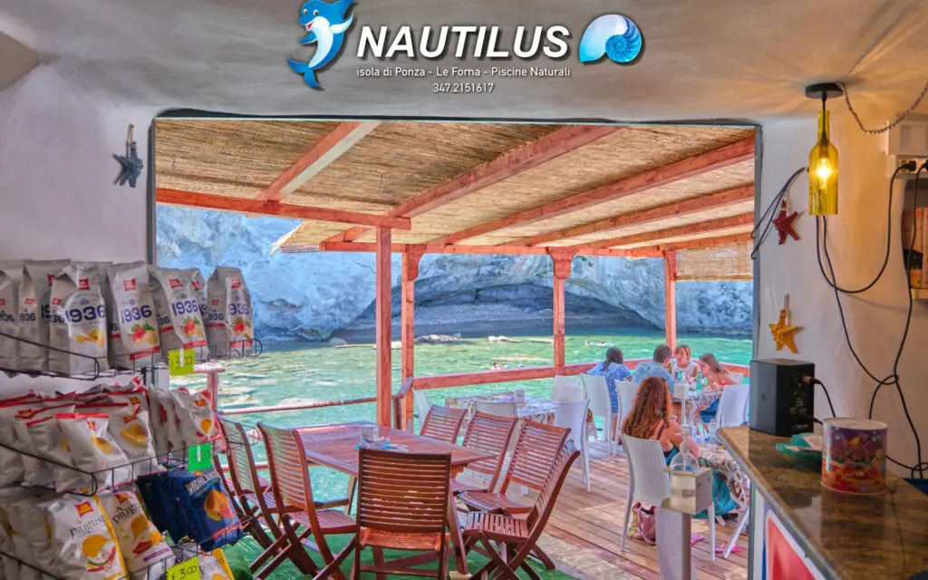 Nautilus