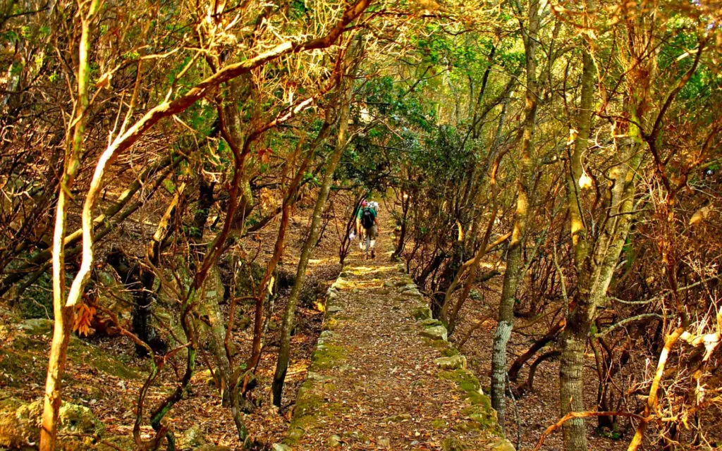 Trekking con Gaia De Luca