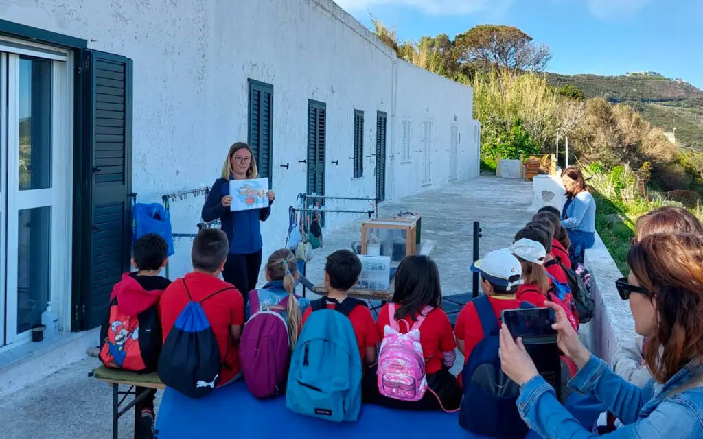 Upupa di Ponza – Katharina Herta Urach