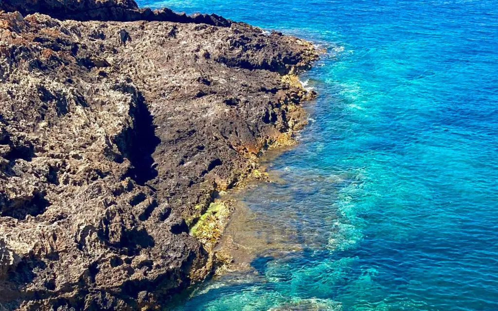 Upupa di Ponza – Katharina Herta Urach