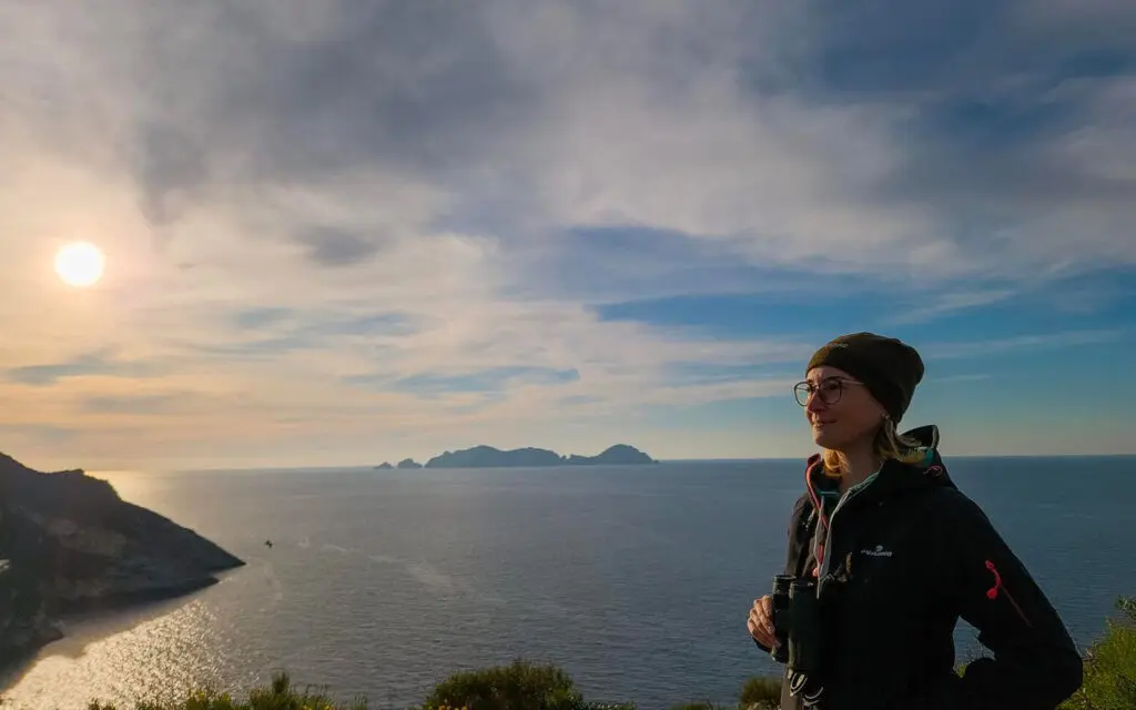 Upupa di Ponza – Katharina Herta Urach