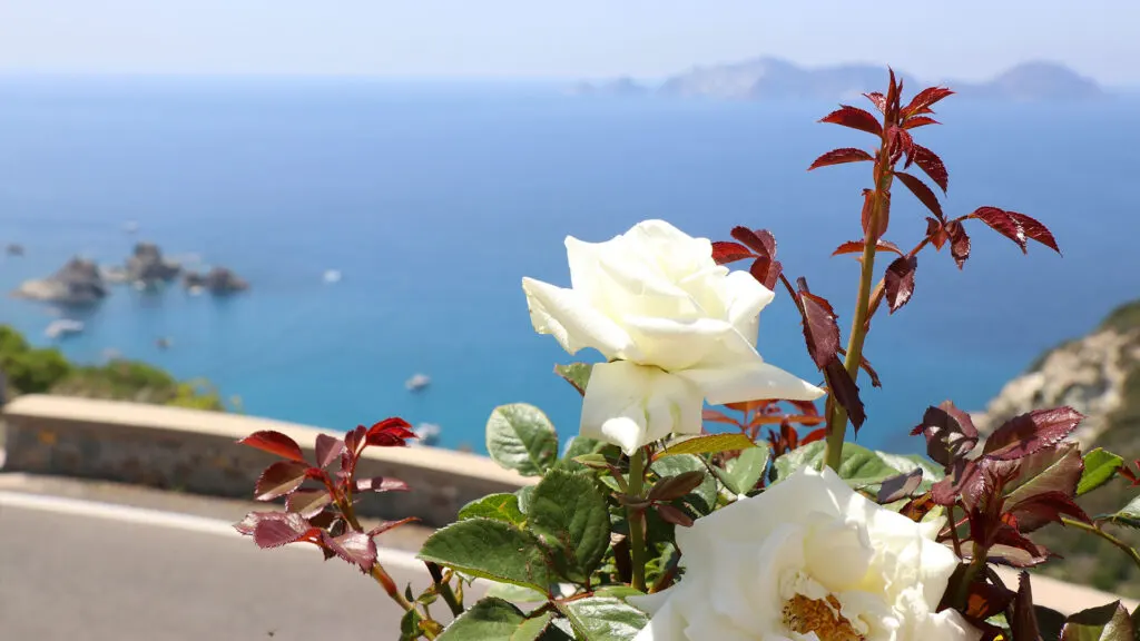 La storia di Lucia Rosa a Ponza: leggenda, faraglioni e tramonto